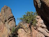 Pinnacles 006